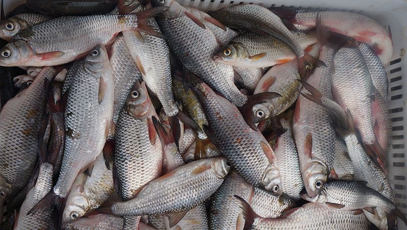 Ең жақсы оргазм айқайлайды