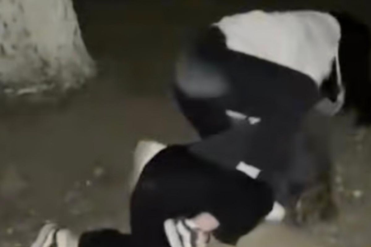 Шынайы емес үлкен әтештер спермы