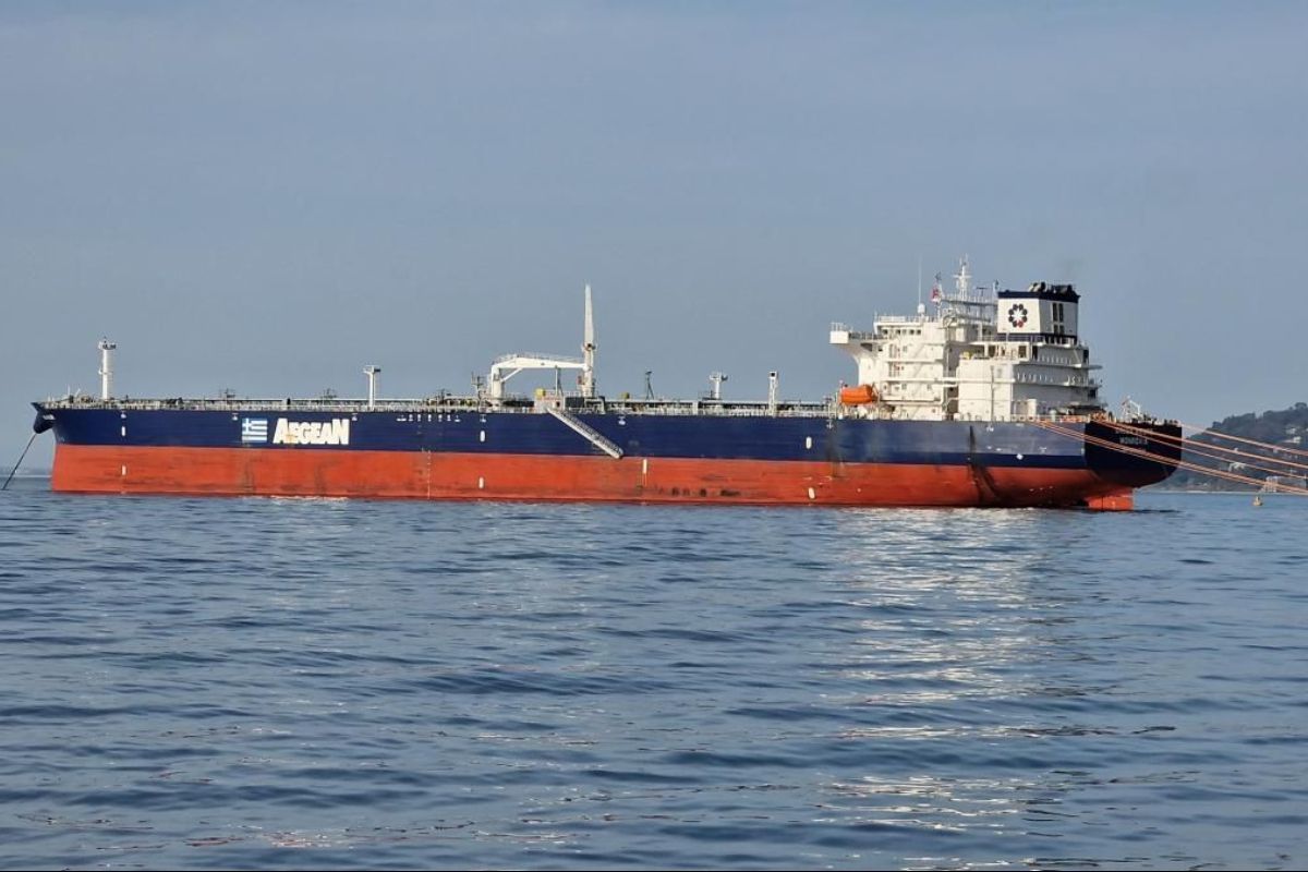 Аш жолбарыс порно