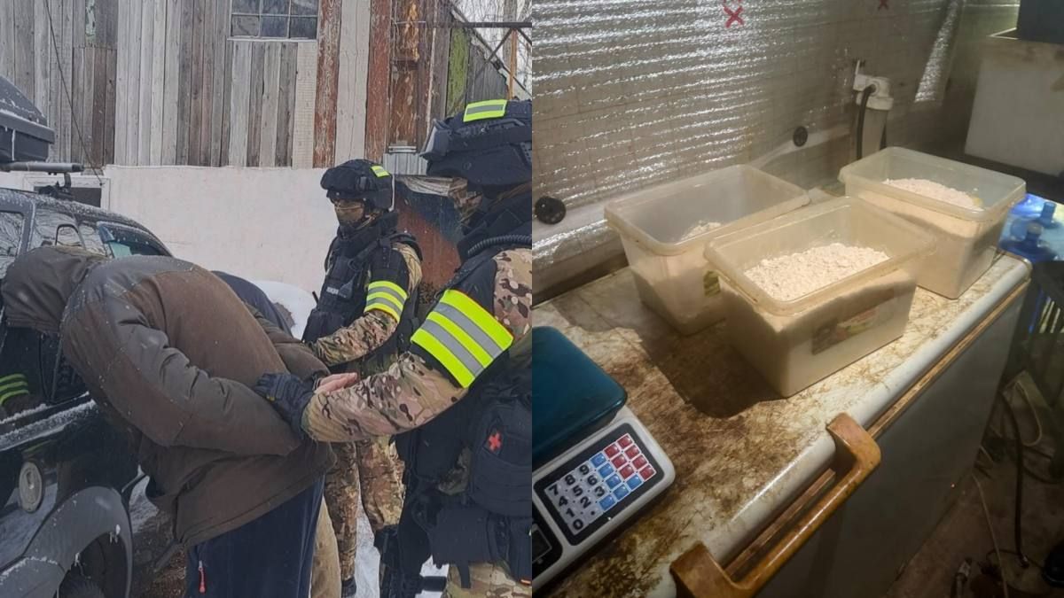 видеодан скриншот