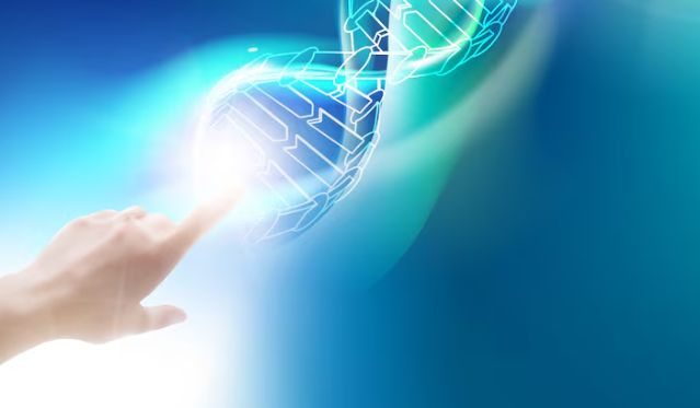 Фото: freepik.com