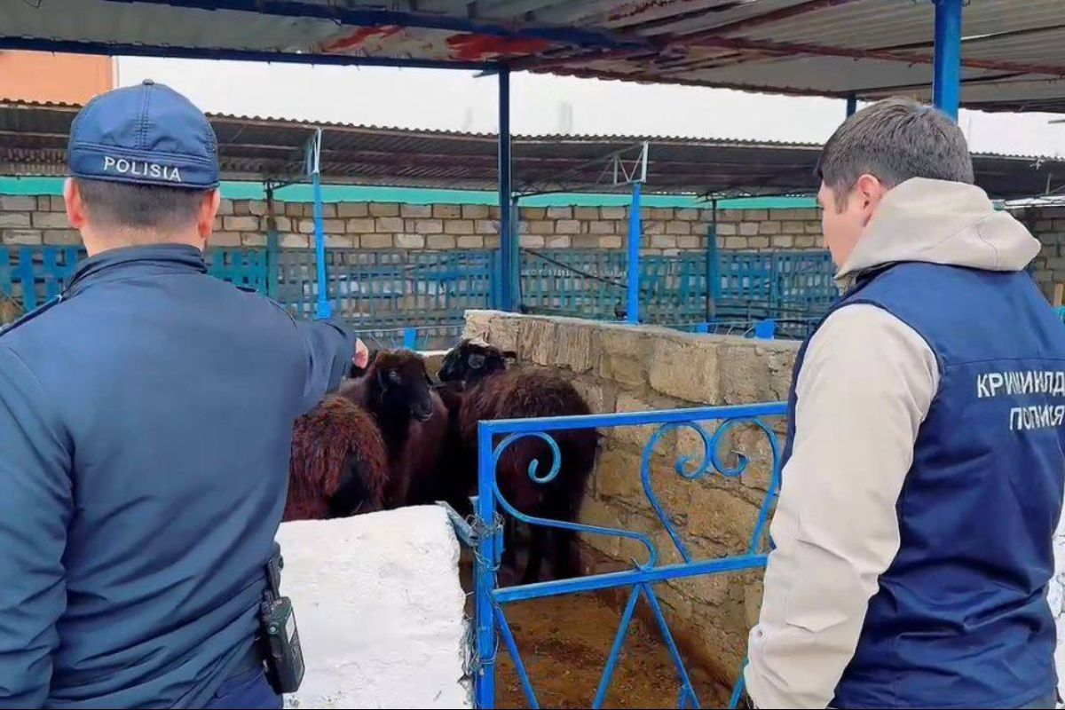 Сурет: polisia.kz