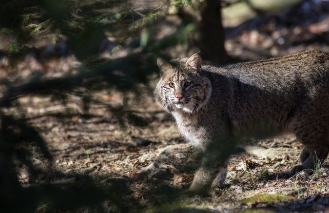 Сурет: freepik.com Сурет: freepik.com