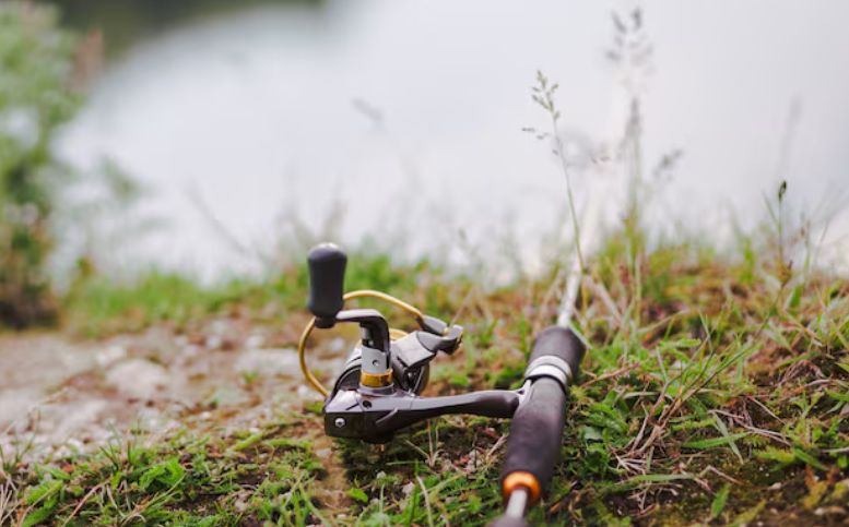 Фото: freepik.com Фото: freepik.com