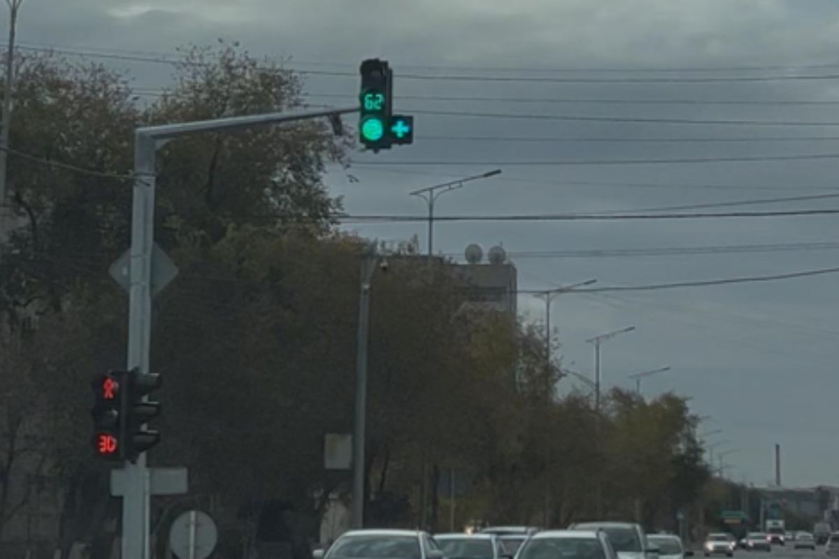 Видеодан скриншот