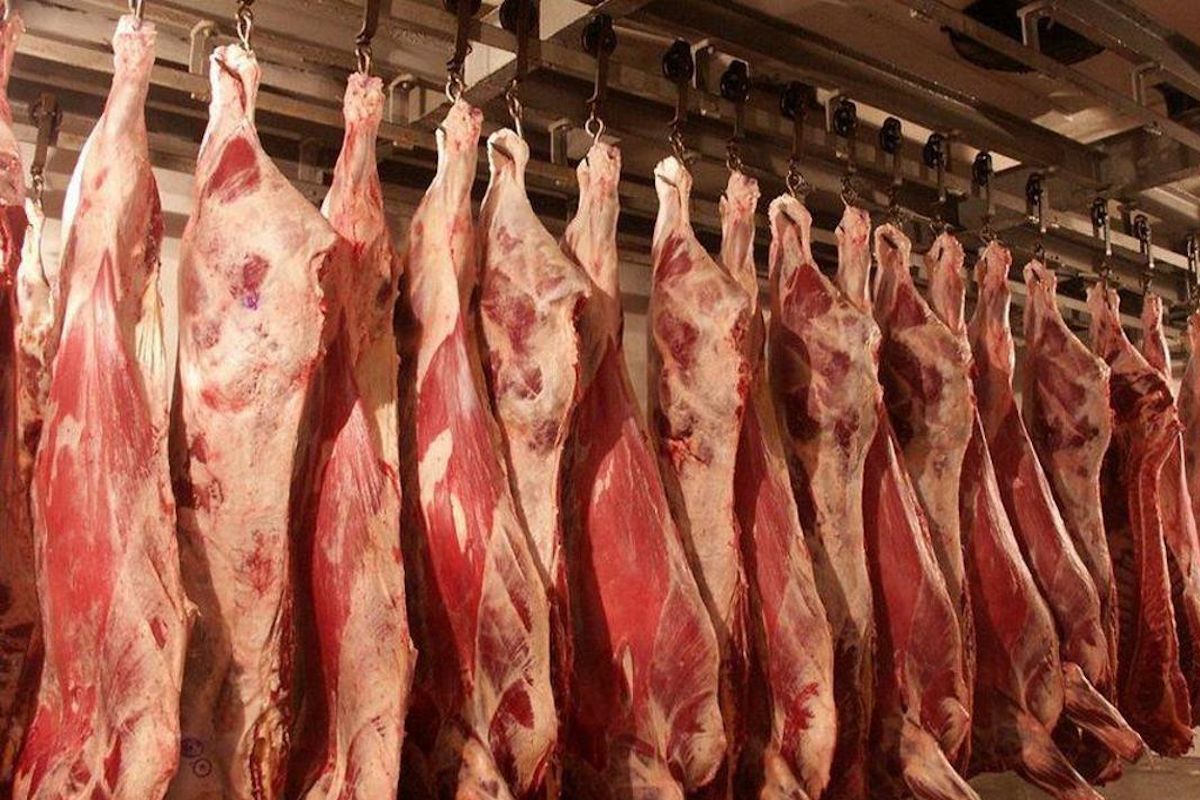 Сурет: ҚР Ауыл шаруашылығы министрлігі