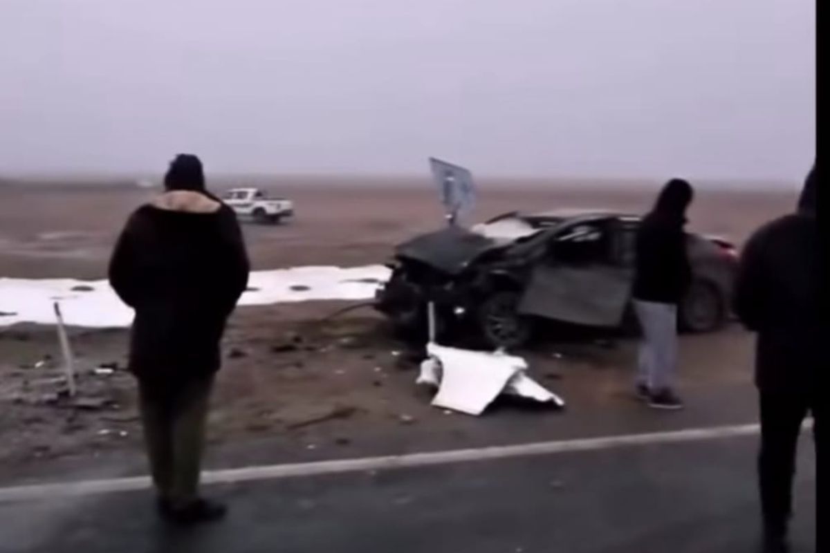 Видеодан скриншот