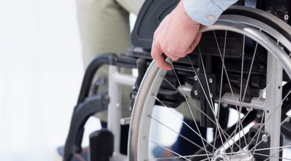 Фото: freepik.com