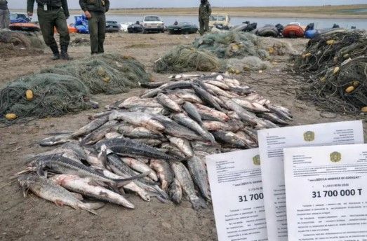 Chat GPT жасаған сурет