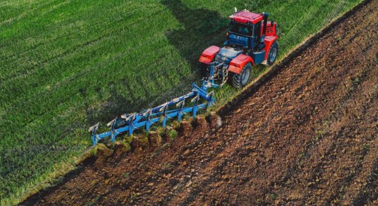 Фото: freepik.com