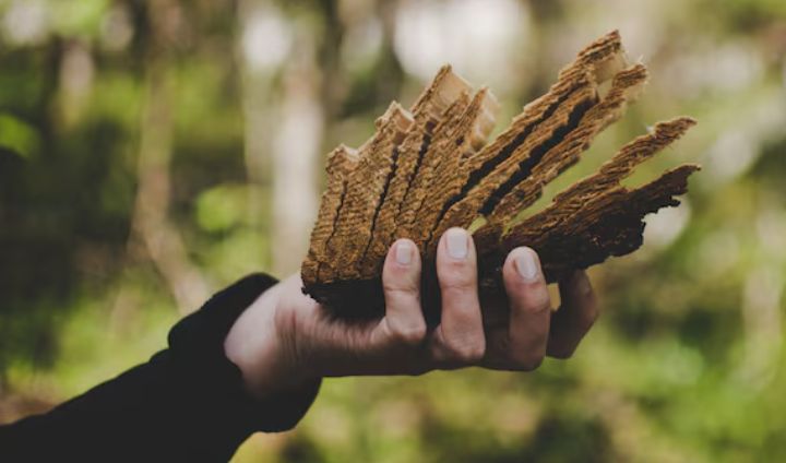 Фото: freepik.com