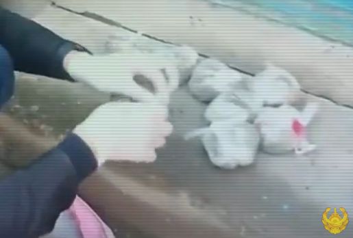 Фото: polisia.kz