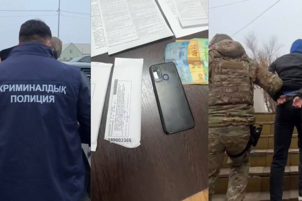 Видеодан скриншот