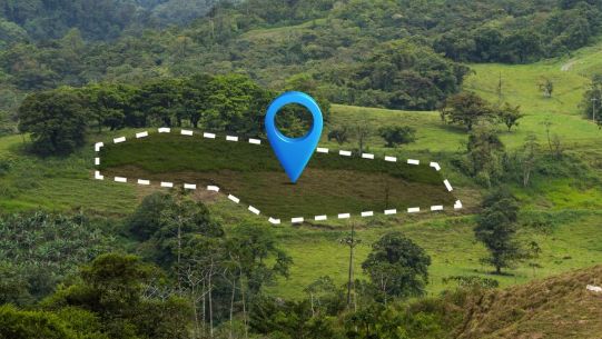 Фото: freepik.com