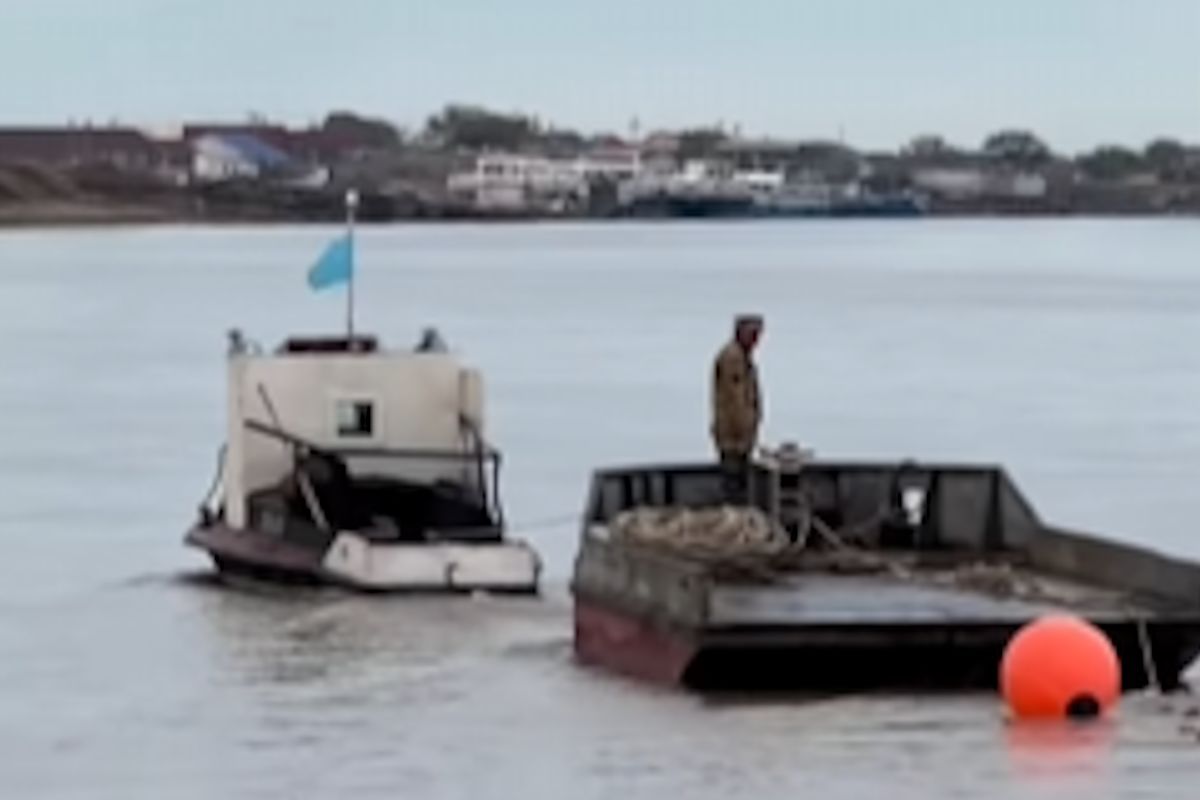 Видеодан скриншот Видеодан скриншот