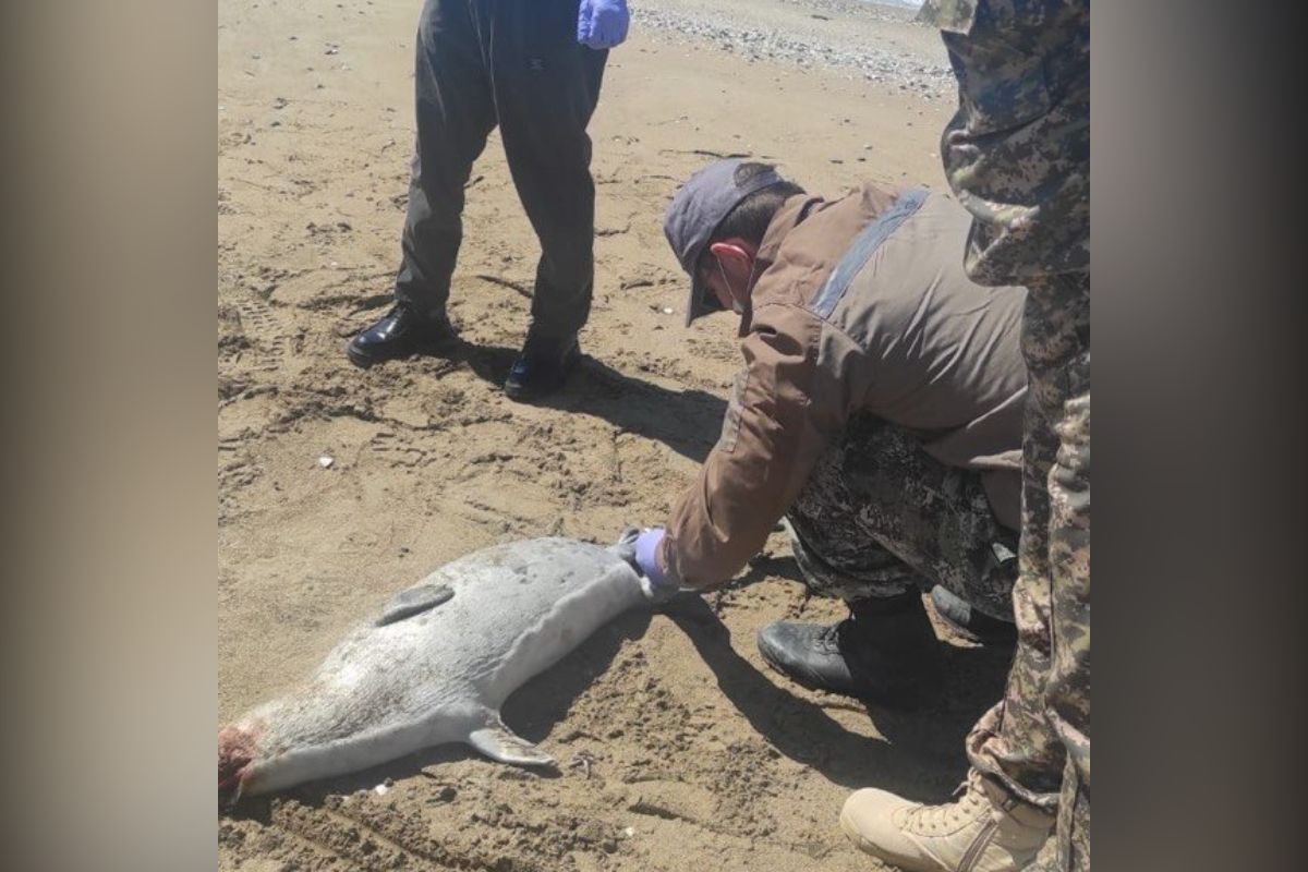 ҚР Ауыл шаруашылығы министрлігінің Балық шаруашылығы комитеті