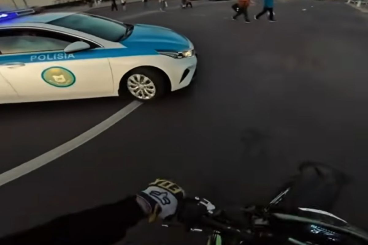 видеодан скриншот