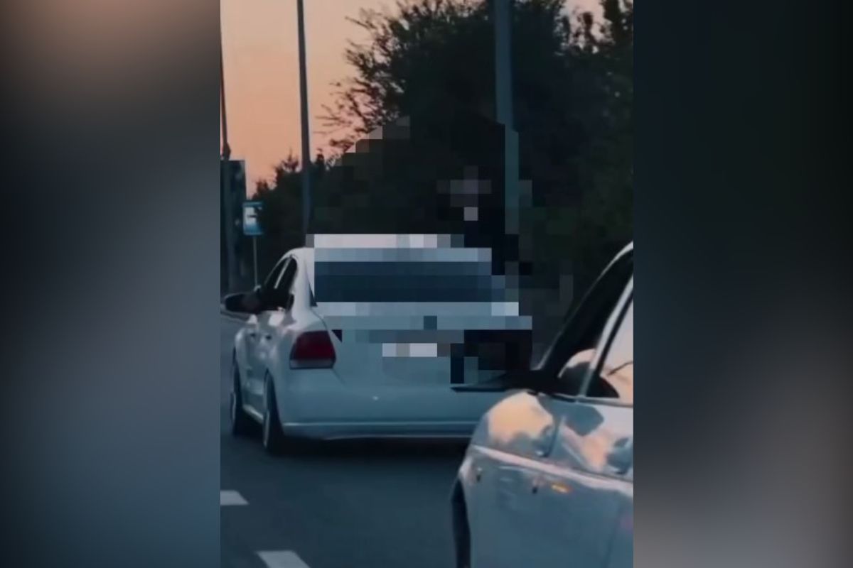 Видеодан жасалған скриншот