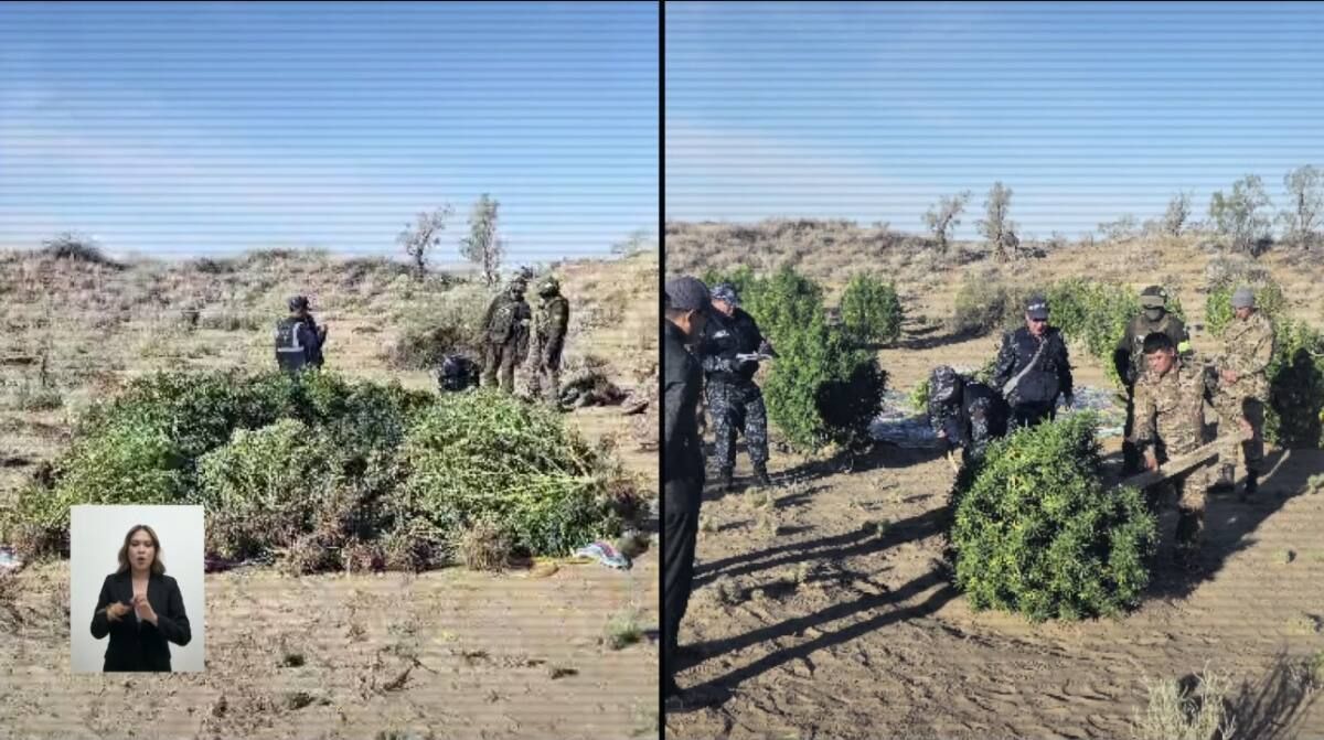 видеодан скриншот