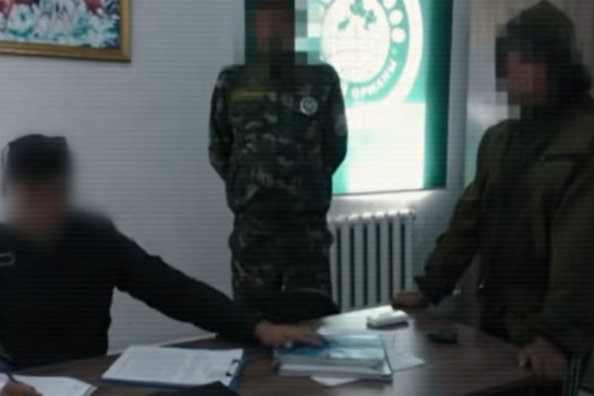 видеодан скриншот видеодан скриншот