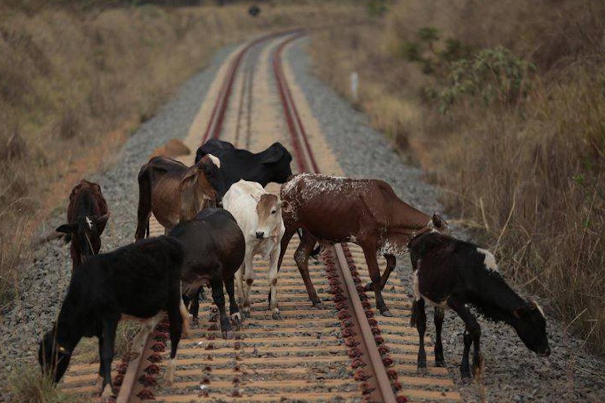 Сурет: t.me/railways_kz
