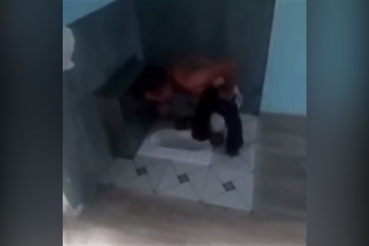 видеодан скриншот