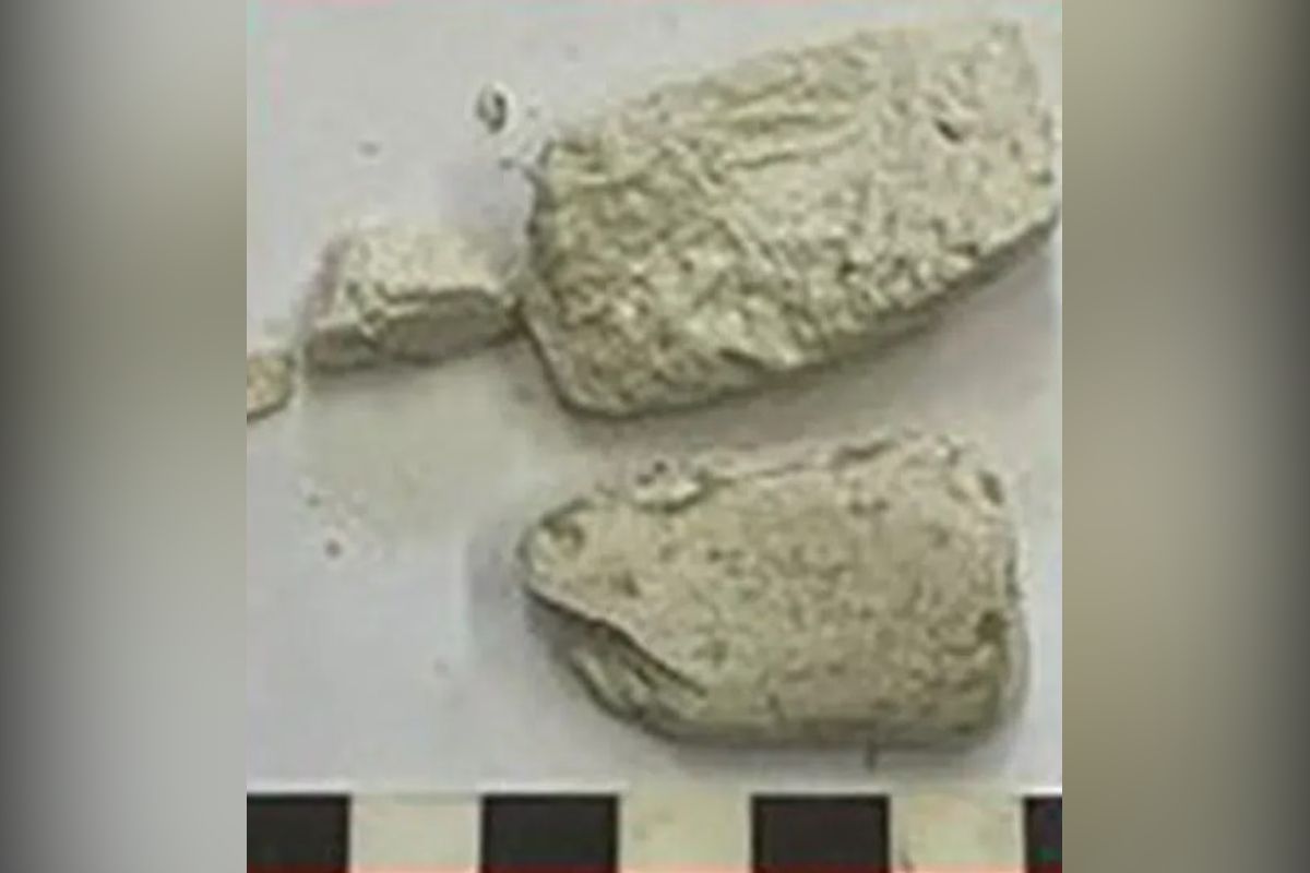 &copy; npj Heritage Science