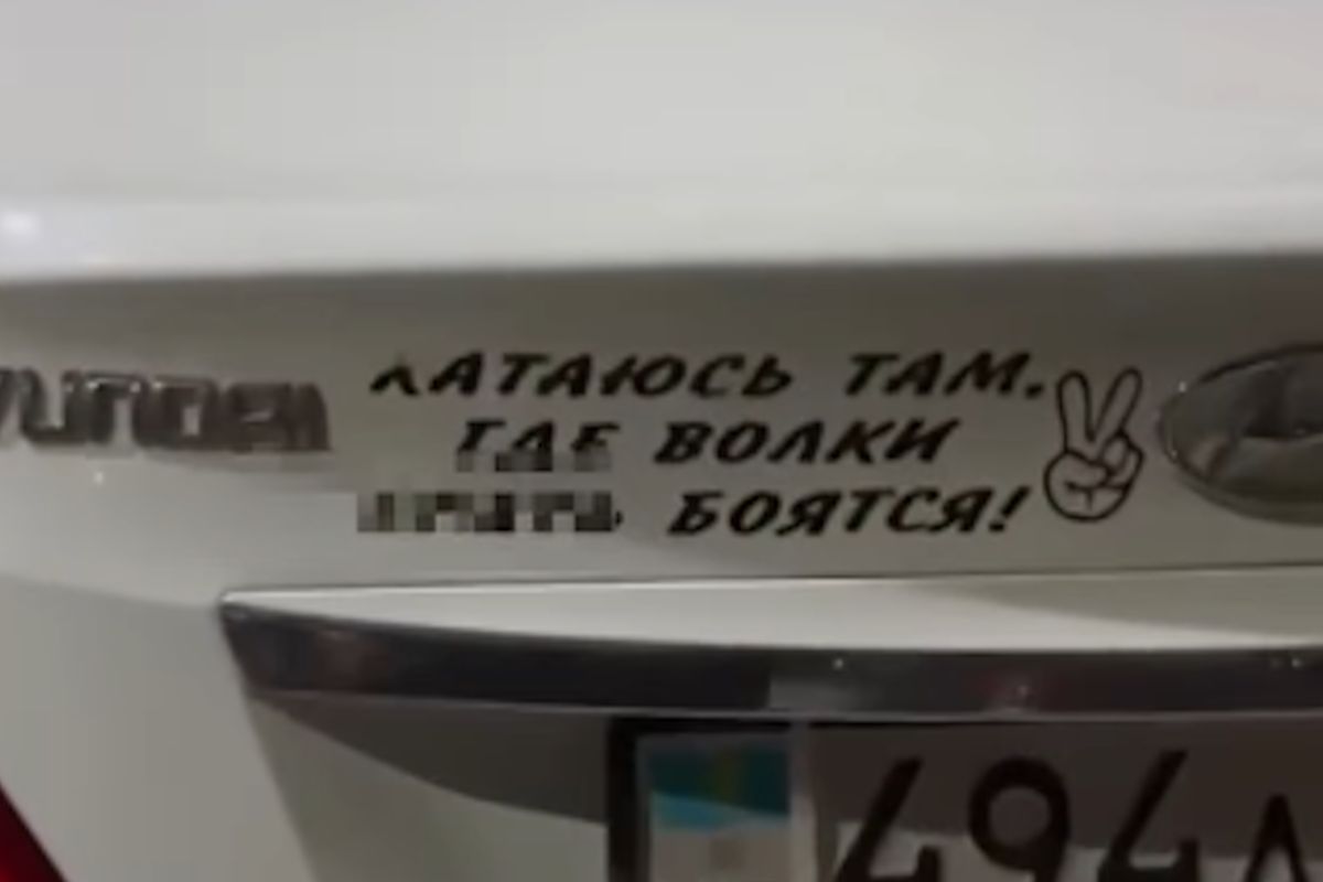 видеодан скриншот