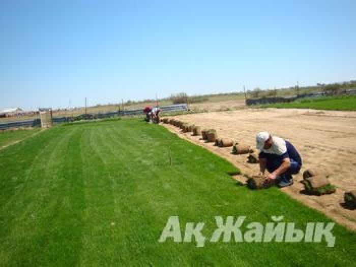 Атыраулықтар мен президенттерге арналған көгал