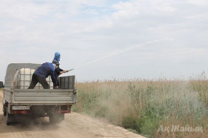 Ескі картадағы жаңа нүктелер