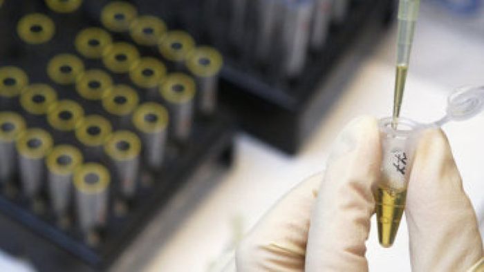 Маймылдарға егілген Эболаға қарсы вакцина жақсы нәтиже көрсетті