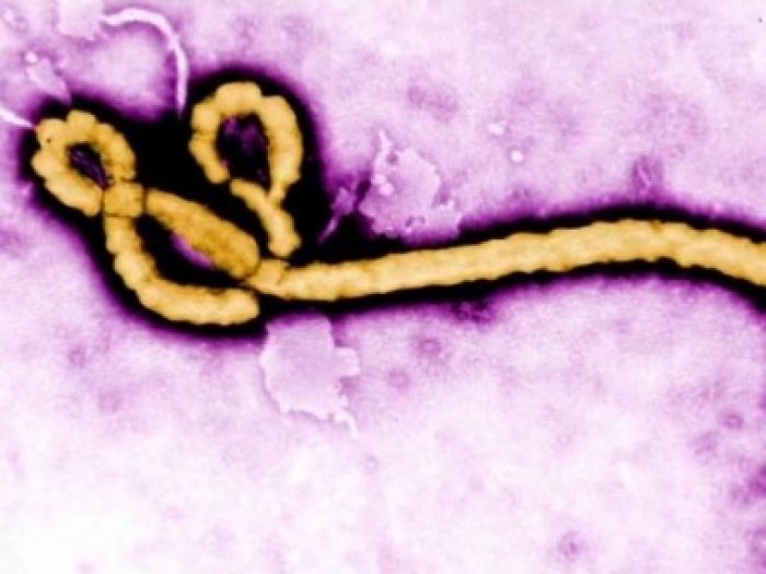Эбола вирусы Либерияға қауіп төндіріп отыр