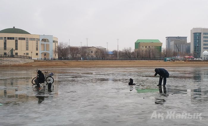 Жайық қауіпті болып барады