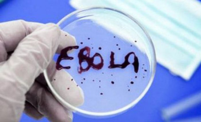 Қытайда өсетін өсімдік Эбола дертіне дауа болуы мүмкін