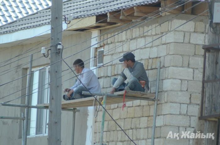 Өзбек құрылысшылары арнайы қабылдау орнына жіберілді