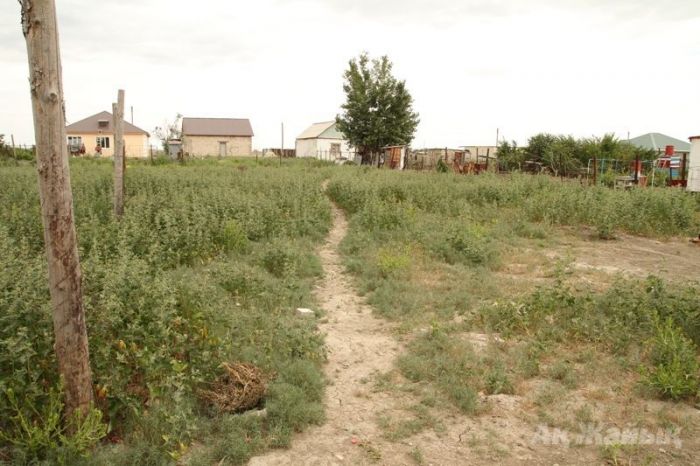 Сәтсіз алаяқтық