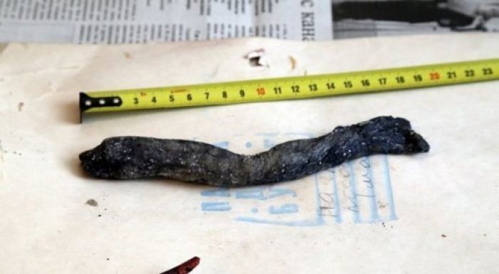 ​Қостанай облысынан табылған мақұлықты биолог пен полицейлер көріп қайтты