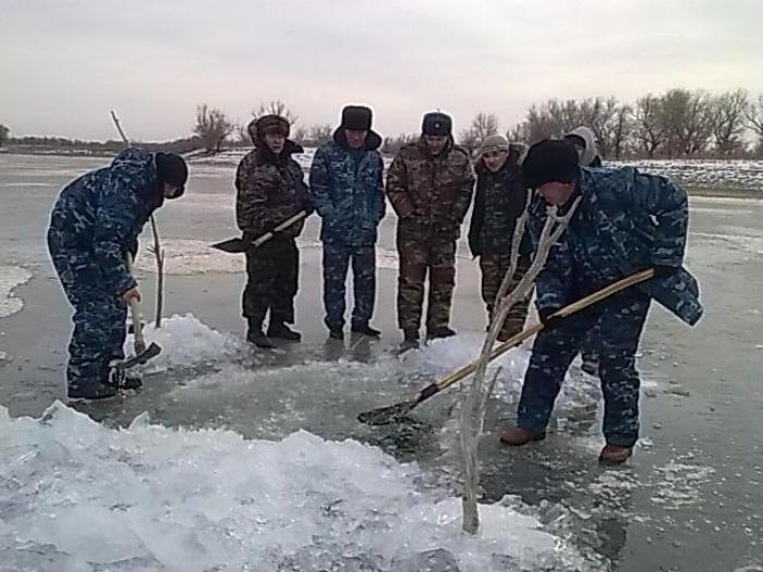 Балыққа да ауа керек