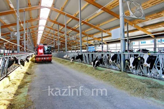 Жер қойнауын игеріп жатқан инвесторларға салық жағынан жеңілдіктер беру көзделген  