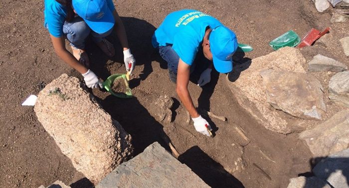 Павлодар облысында археологтар көне заман жауынгерінің сүйектерін тапты