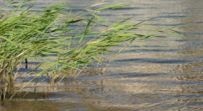 ​Ресей Қазақстанға көлді "сыйлады" деу орынсыз 