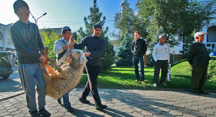 Бас мүфти: қаржылық мүмкіндігі жоқ адамға құрбан шалу міндет емес