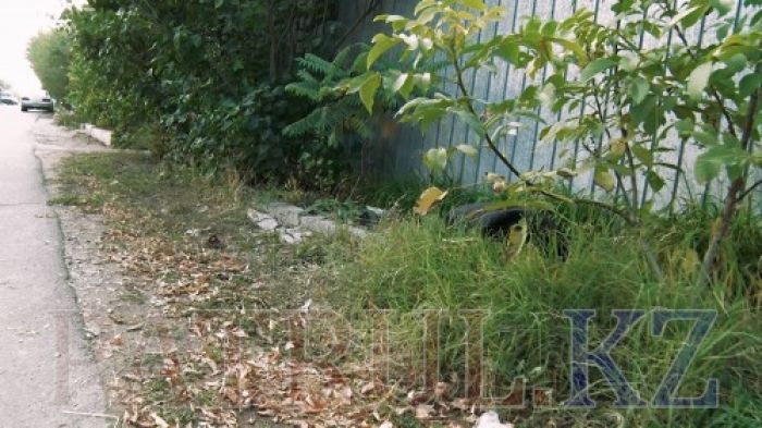 Алматыда жаңа туған сәбиін далада қалдырып кеткен әйел әлі табылған жоқ