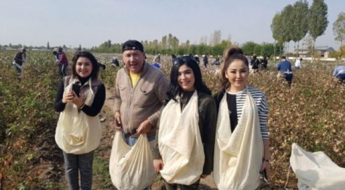 Өзбекстандық эстрада жұлдыздары мақта теруге шықты 