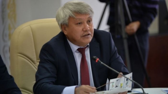 Жаңа қазақ әліпбиіндегі сөздерді интернеттен табу үшін мәтіндік қор жасалуы керек – Тілешов