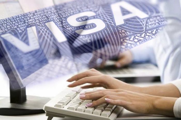 Электронды визаны енгізуге қаржы керек - ҚР СІМ 