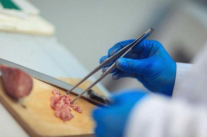 ​Астанада халал ет өнімінен шошқаның ДНҚ-сы табылды 