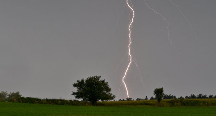 Қостанай облысында сегіз жасар қызға жай түсті