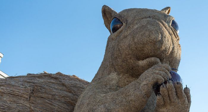 Алматыда дау тудырған алып тиін сатуға шығарылды