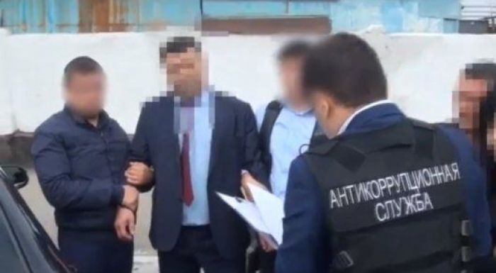 Қостанай облысы бойынша "Қазагроқаржы" АҚ басшысы ұсталды